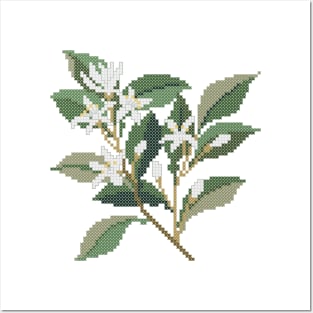 Florida State Flower Orange Blossom Posters and Art